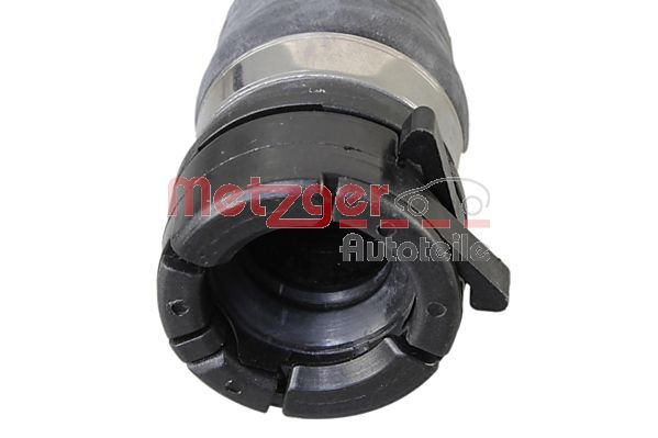 Radiatoriaus žarna METZGER 2421270