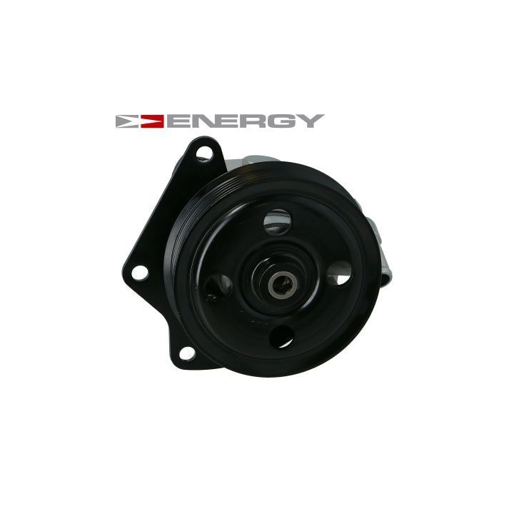 Hidraulinis siurblys, vairo sistema ENERGY PW690234