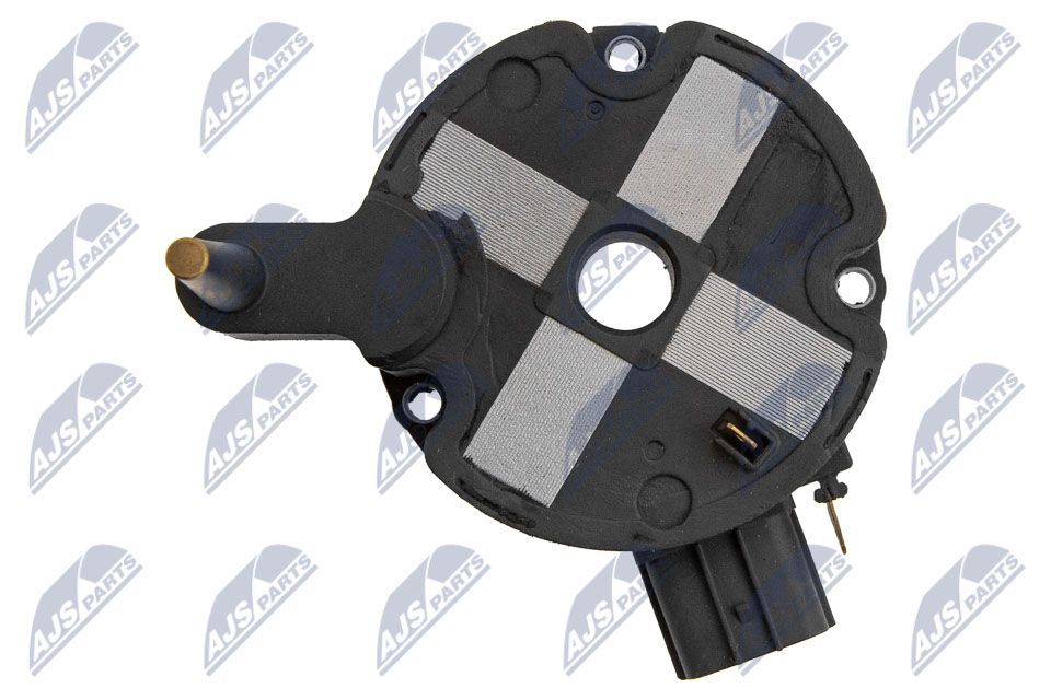 Ritė, uždegimas NTY ECZ-MZ-006