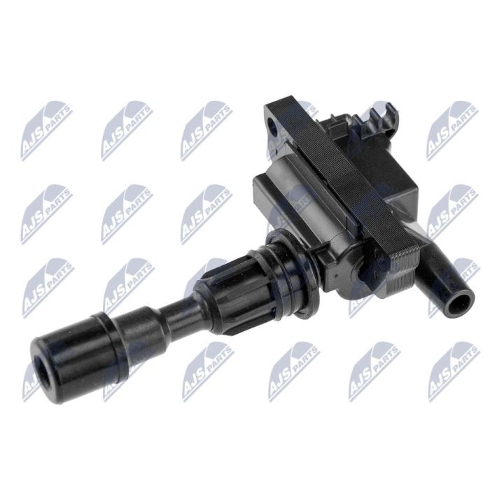 Ritė, uždegimas NTY ECZ-MZ-007