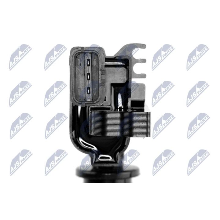 Ritė, uždegimas NTY ECZ-MZ-007