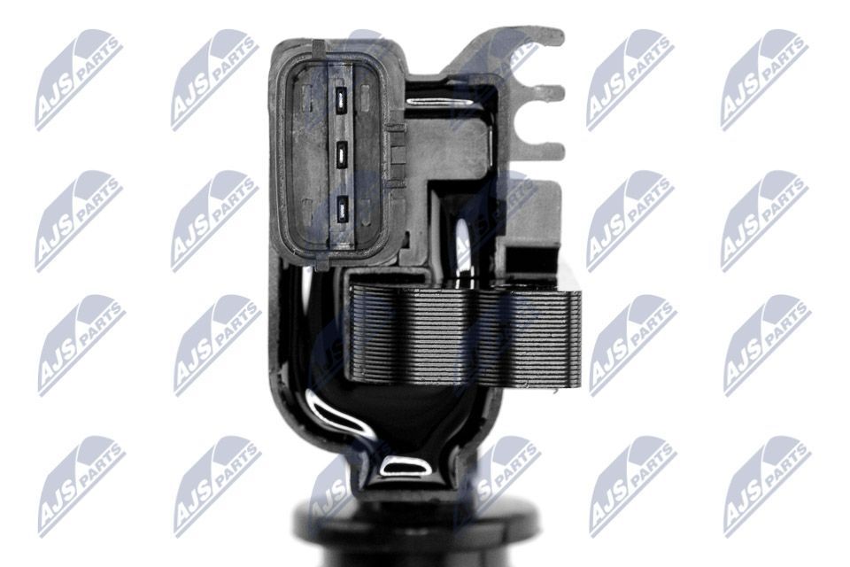 Ritė, uždegimas NTY ECZ-MZ-007