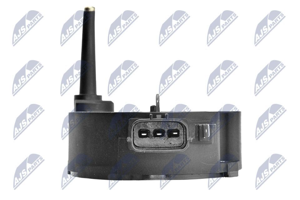 Ritė, uždegimas NTY ECZ-MZ-008