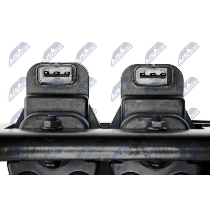 Ritė, uždegimas NTY ECZ-MZ-009