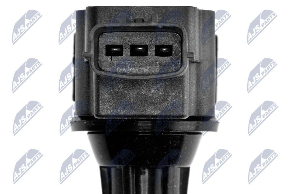 Ritė, uždegimas NTY ECZ-MZ-012