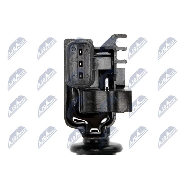 Ritė, uždegimas NTY ECZ-MZ-019