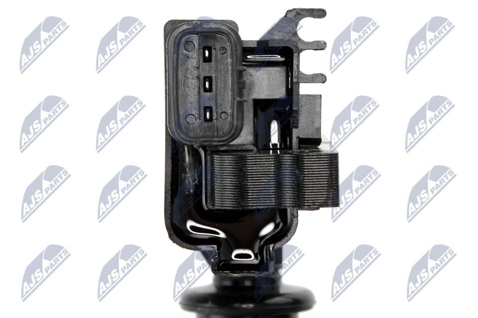 Ritė, uždegimas NTY ECZ-MZ-019