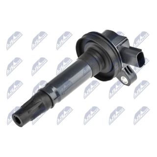 Ritė, uždegimas NTY ECZ-MZ-023