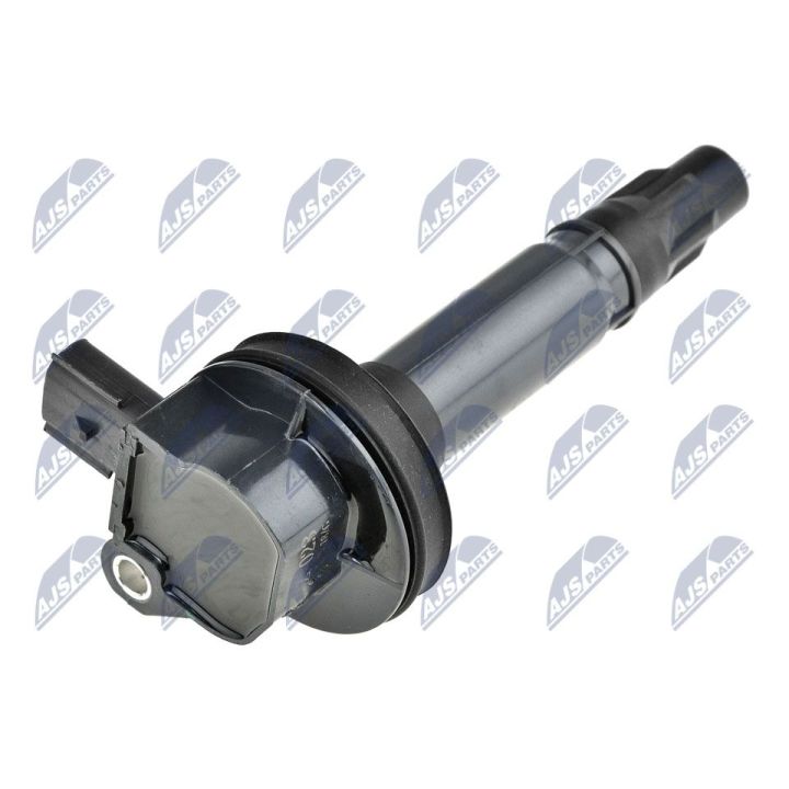 Ritė, uždegimas NTY ECZ-MZ-023