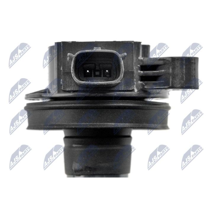 Ritė, uždegimas NTY ECZ-MZ-023