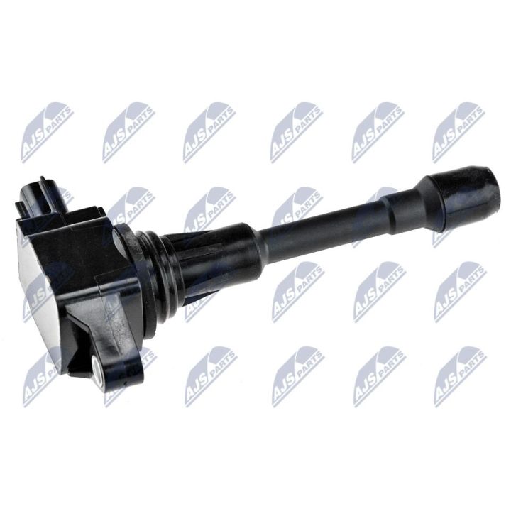 Ritė, uždegimas NTY ECZ-NS-007