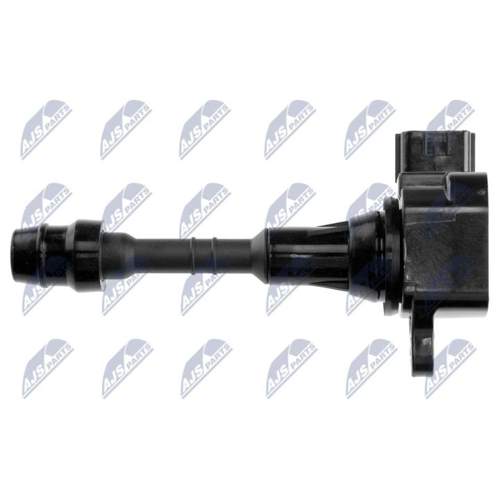 Ritė, uždegimas NTY ECZ-NS-009