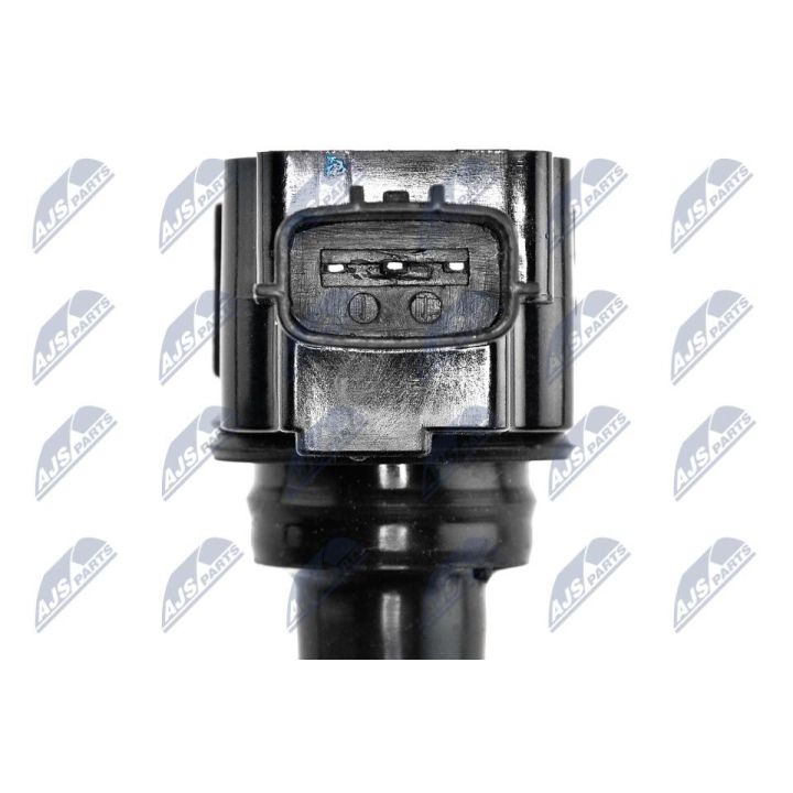 Ritė, uždegimas NTY ECZ-NS-017