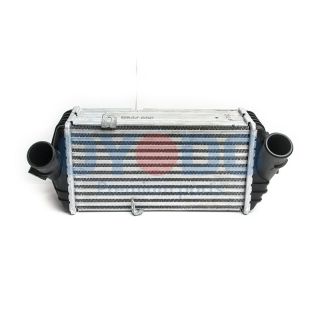 Tarpinis suslėgto oro aušintuvas, kompresorius Oyodo 60C0302-OYO