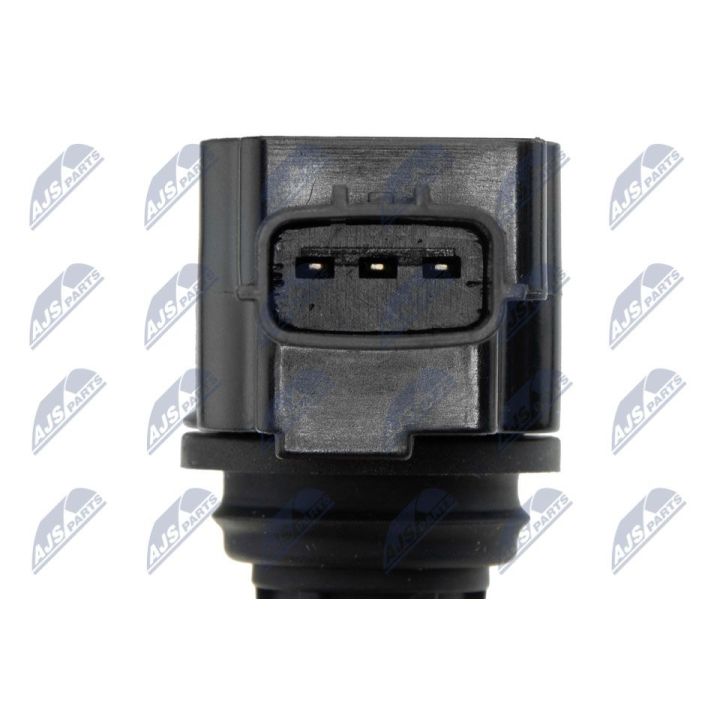 Ritė, uždegimas NTY ECZ-NS-022