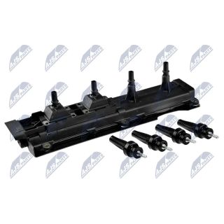 Ritė, uždegimas NTY ECZ-PE-006