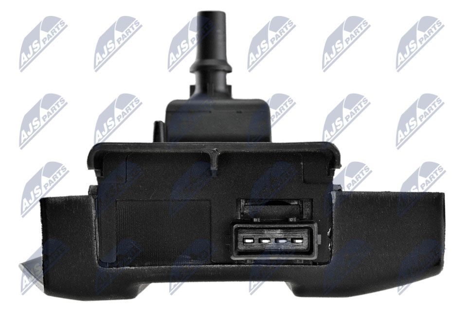 Ritė, uždegimas NTY ECZ-PE-006