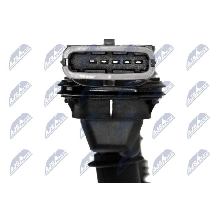 Ritė, uždegimas NTY ECZ-PL-032