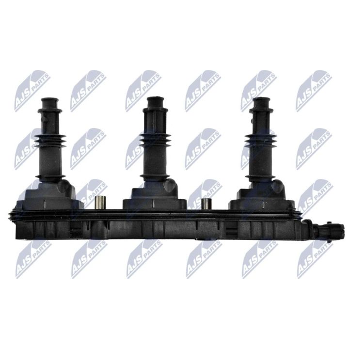 Ritė, uždegimas NTY ECZ-PL-033