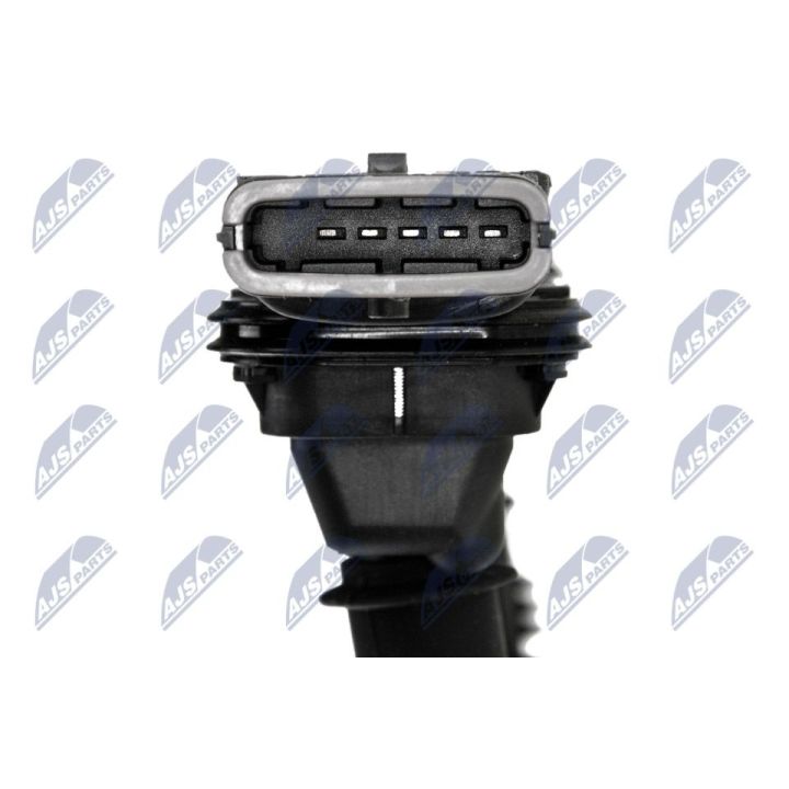 Ritė, uždegimas NTY ECZ-PL-033