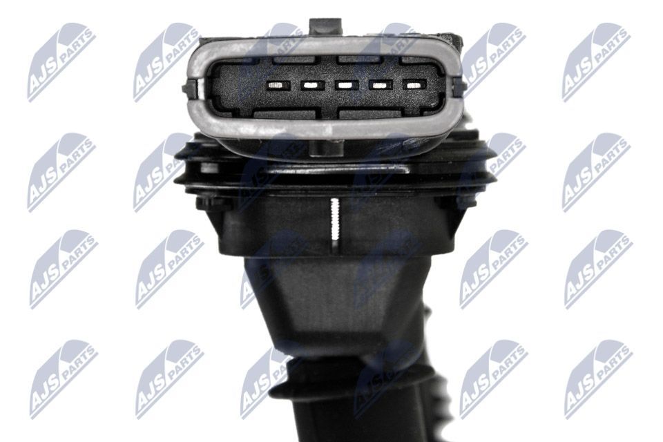 Ritė, uždegimas NTY ECZ-PL-033