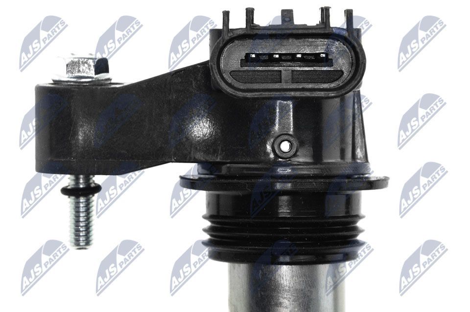 Ritė, uždegimas NTY ECZ-PL-037