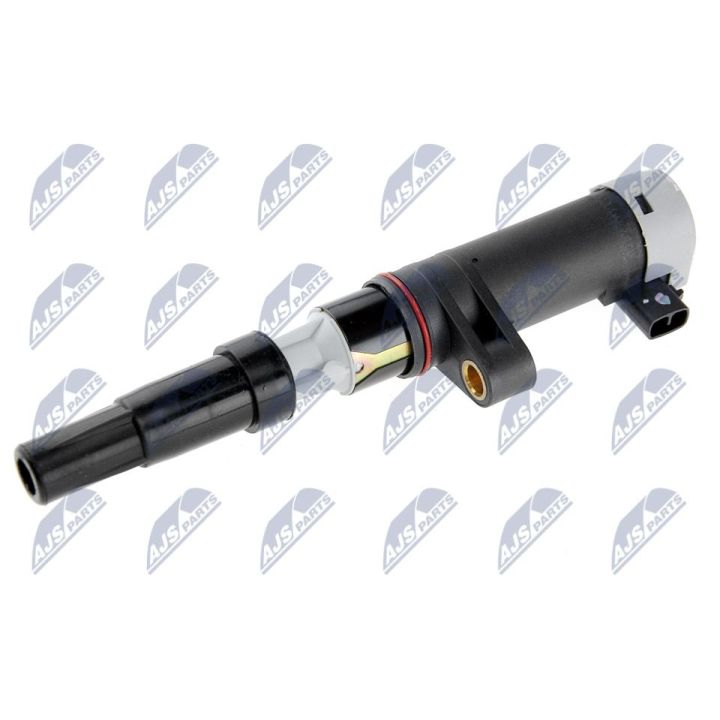 Ritė, uždegimas NTY ECZ-RE-005