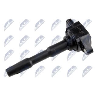 Ritė, uždegimas NTY ECZ-RE-007