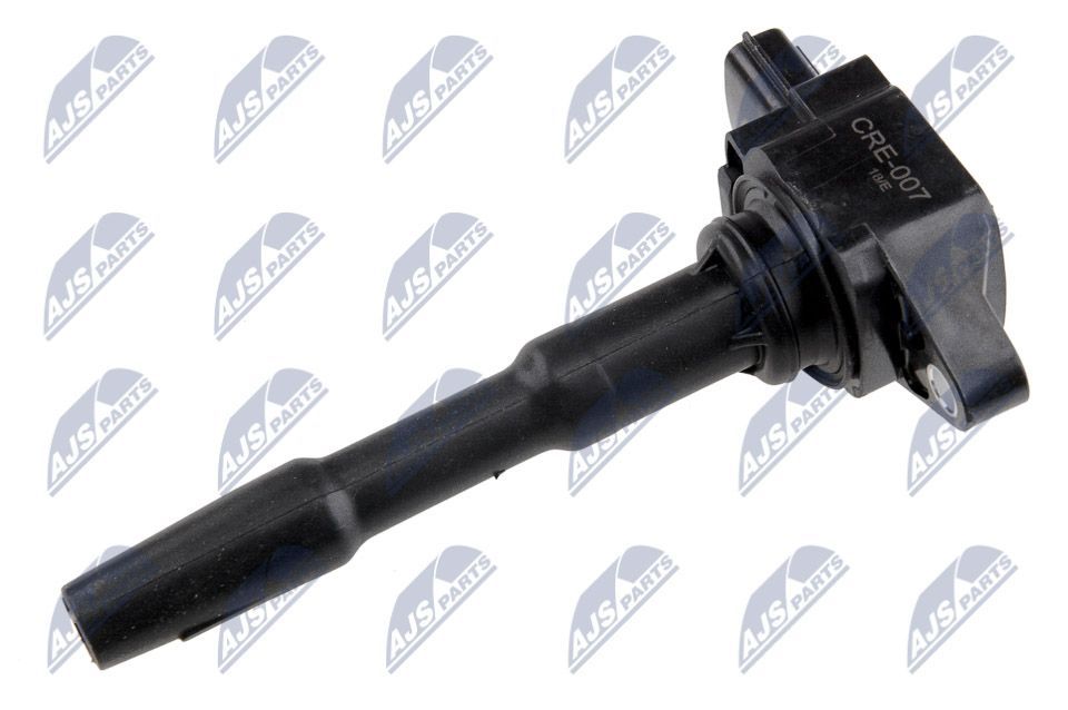 Ritė, uždegimas NTY ECZ-RE-007