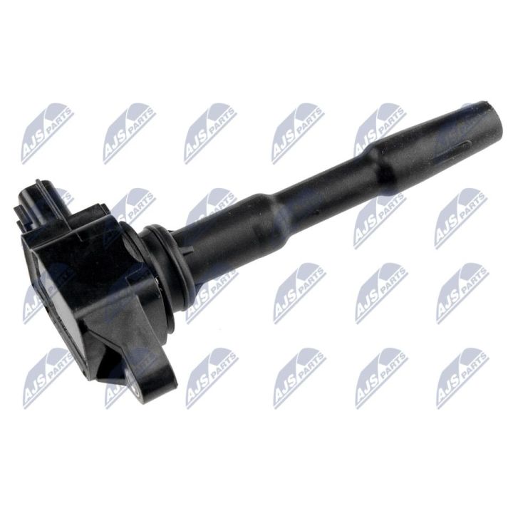 Ritė, uždegimas NTY ECZ-RE-007