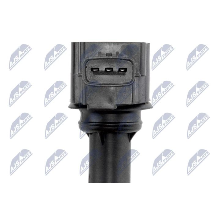 Ritė, uždegimas NTY ECZ-RE-007