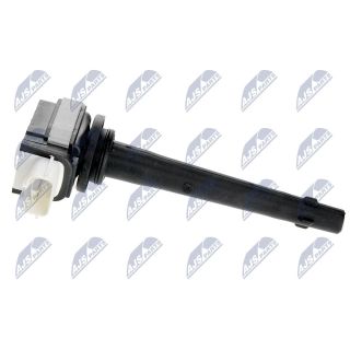 Ritė, uždegimas NTY ECZ-RE-008