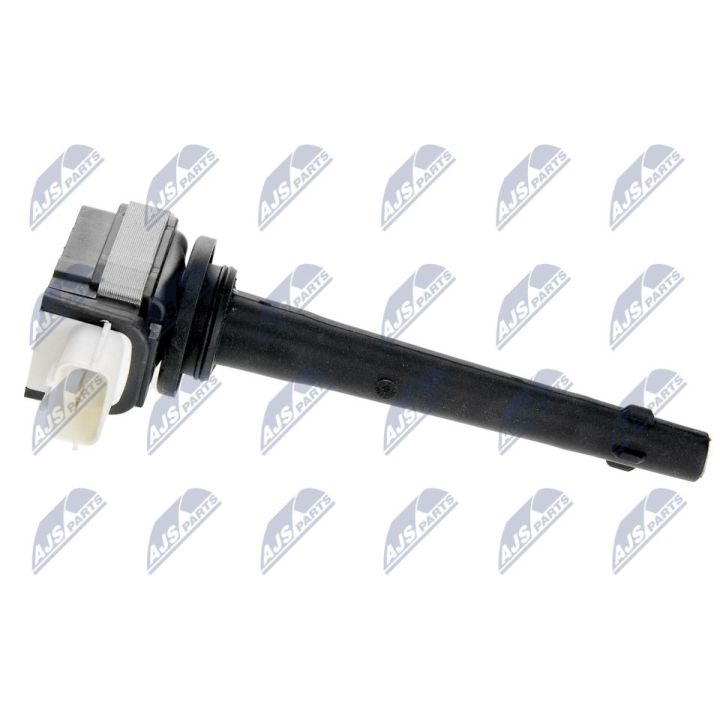 Ritė, uždegimas NTY ECZ-RE-008