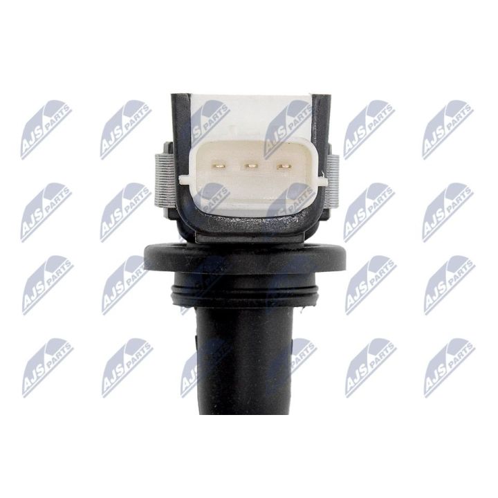 Ritė, uždegimas NTY ECZ-RE-008