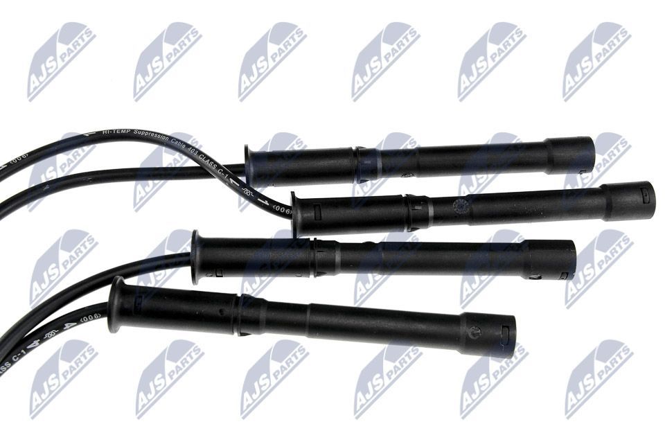 Ritė, uždegimas NTY ECZ-RE-011