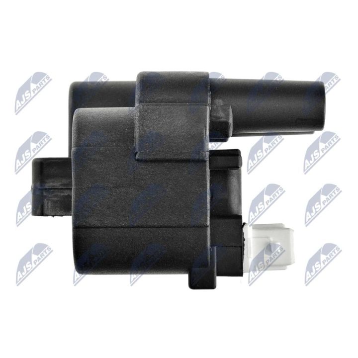 Ritė, uždegimas NTY ECZ-RE-014