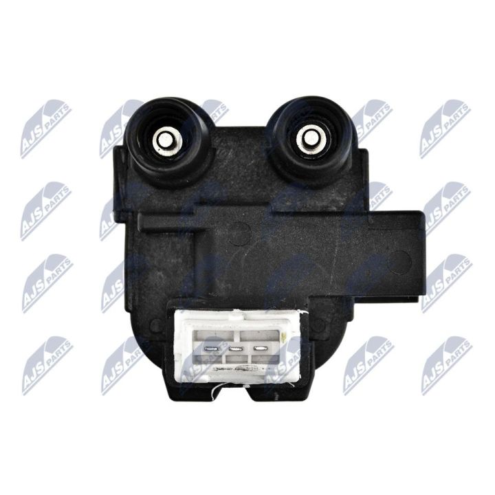 Ritė, uždegimas NTY ECZ-RE-014