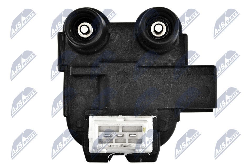 Ritė, uždegimas NTY ECZ-RE-014