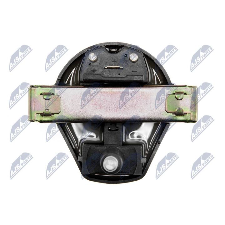 Ritė, uždegimas NTY ECZ-RE-017