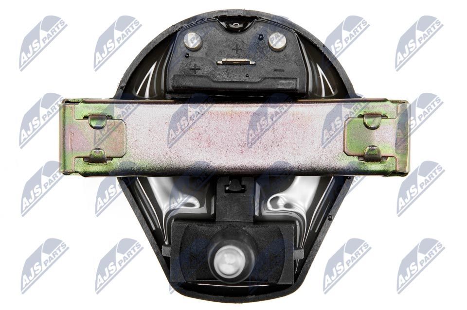 Ritė, uždegimas NTY ECZ-RE-017