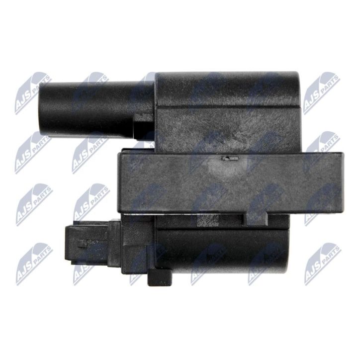 Ritė, uždegimas NTY ECZ-RE-018