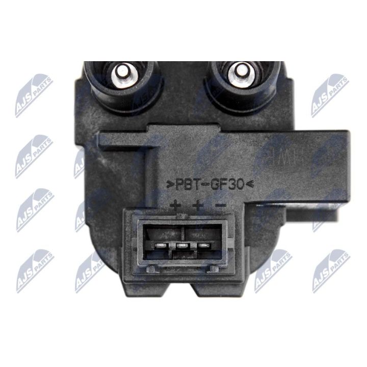 Ritė, uždegimas NTY ECZ-RE-018