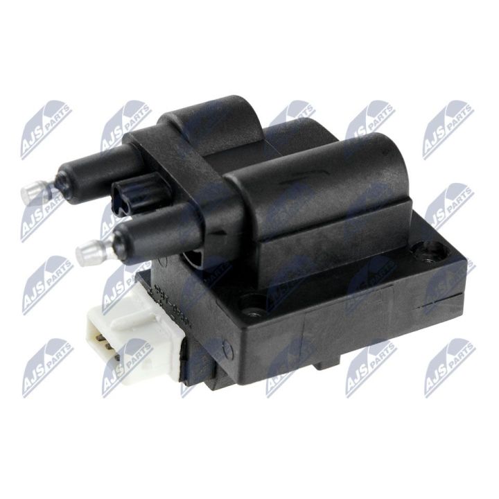 Ritė, uždegimas NTY ECZ-RE-019