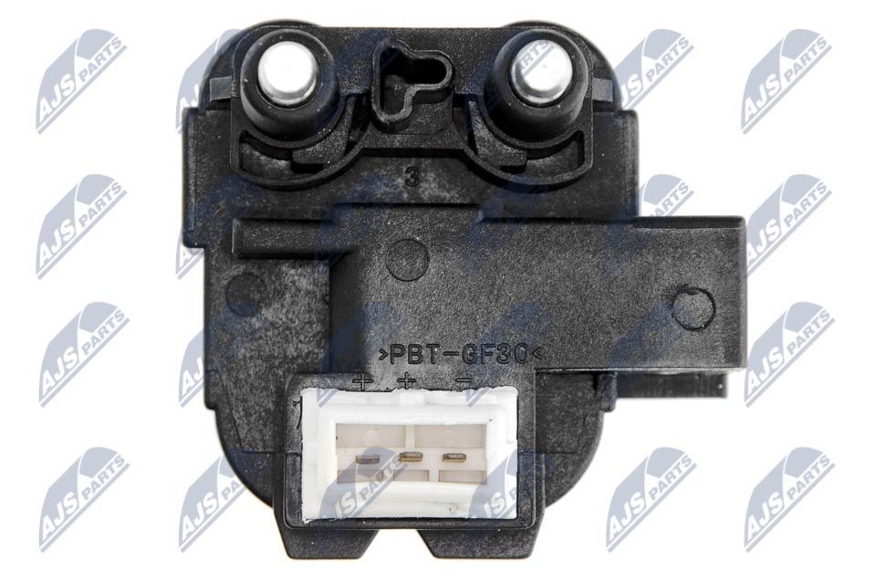 Ritė, uždegimas NTY ECZ-RE-019