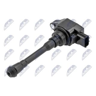 Ritė, uždegimas NTY ECZ-RE-022