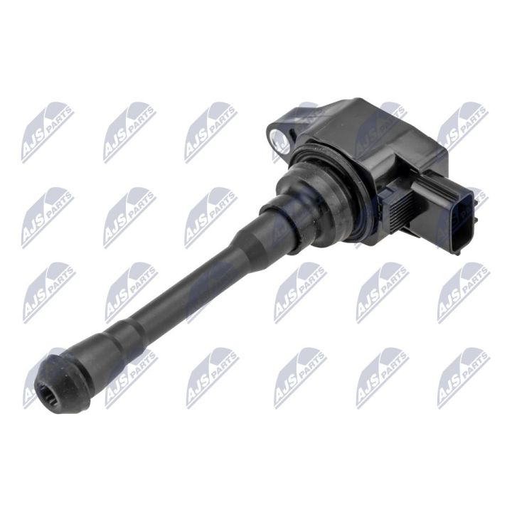 Ritė, uždegimas NTY ECZ-RE-022