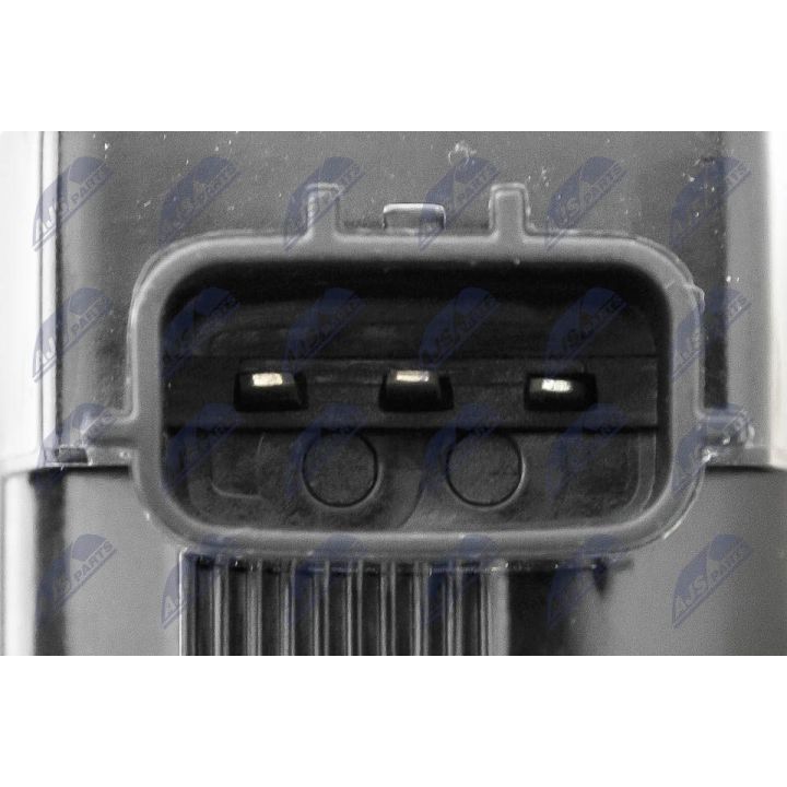 Ritė, uždegimas NTY ECZ-RE-022