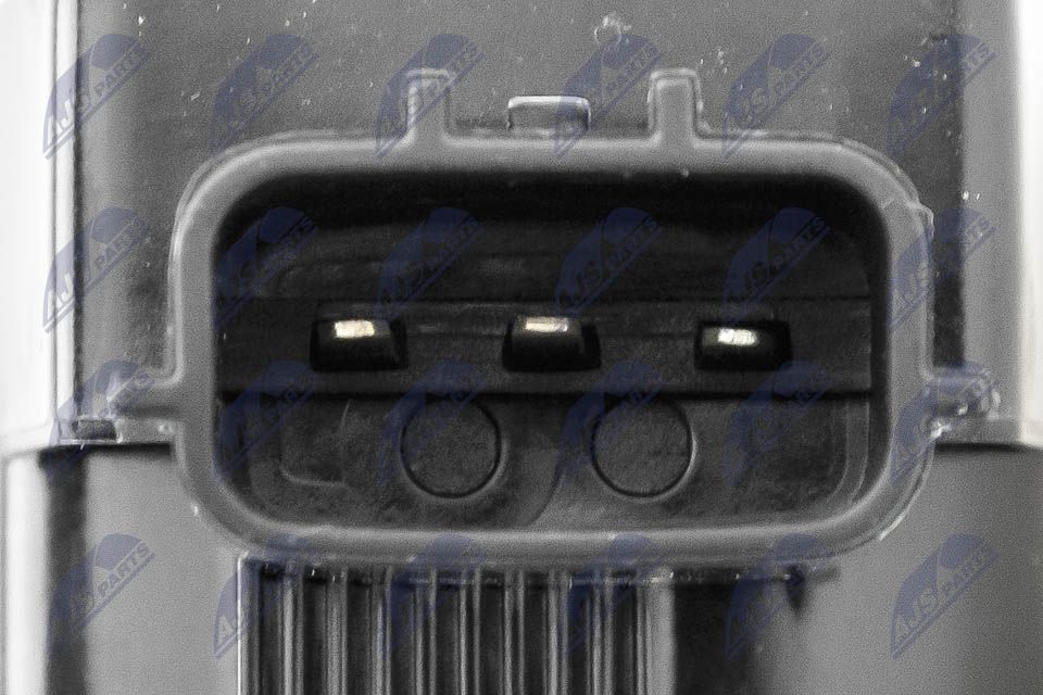 Ritė, uždegimas NTY ECZ-RE-022