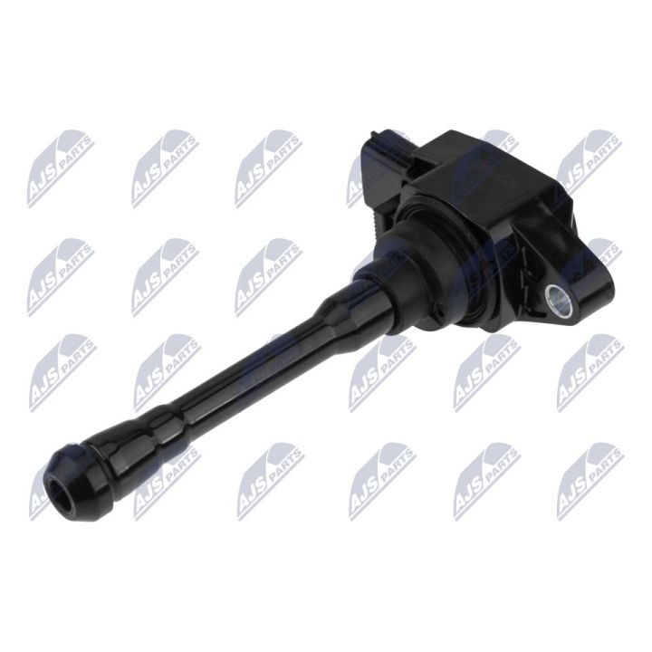 Ritė, uždegimas NTY ECZ-RE-024