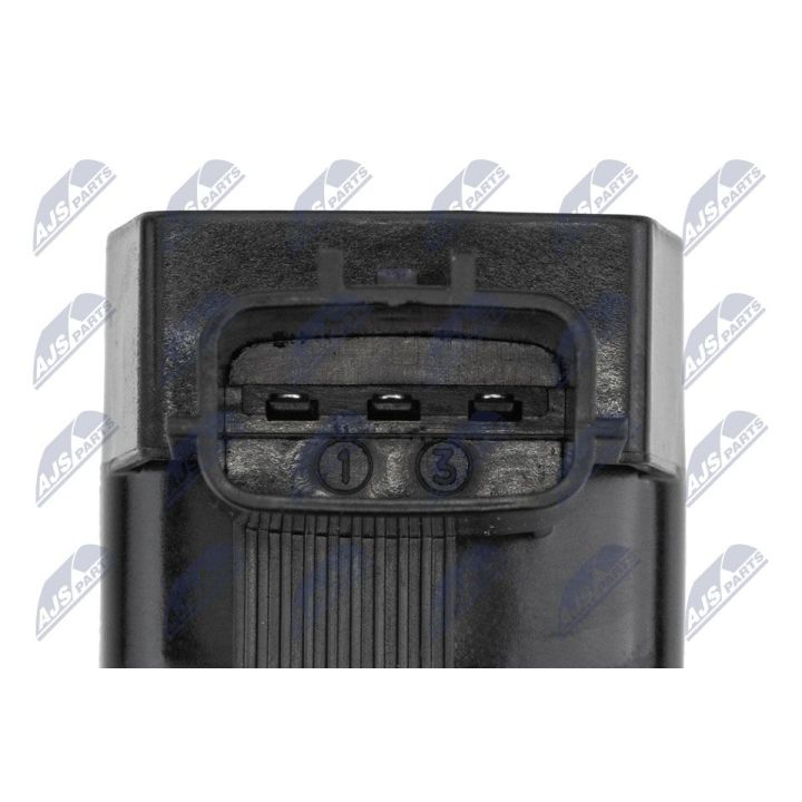 Ritė, uždegimas NTY ECZ-RE-024